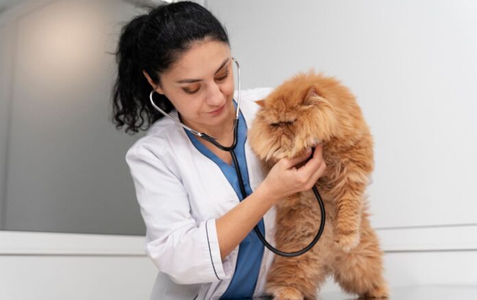___veterenar_sluhae_freepik_com__72b85f0d35244c46d7b2a7af781eae96_1300x820