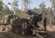 Українські артилеристи взяли в полон росіянина з ДРГ, поки шукали дрон: як так вийшло