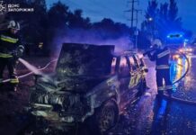 У Запоріжжі горіли два автомобілі