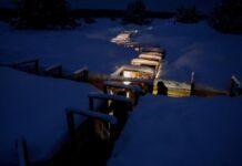 Понад 250 білорусів звернулися до України в пошуках родичів, які воювали на боці Росії