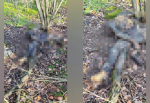 У Кривому Розі знайшли муміфікований труп без голови: подробиці