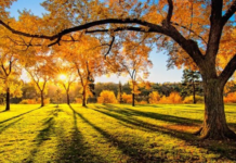 Востаннє так тепло було 102 роки тому: у Дніпрі зафіксували новий температурний рекорд