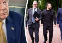 ЄС проти ключових пунктів плану Трампа: що змінюється у переговорах