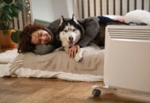 Мало світла, багато тепла: 7 порад для ідеального розміщення конвектора