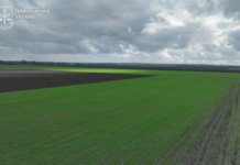 На Дніпропетровщині прокуратура попередила незаконне відчуження понад 1,5 тис. га землі