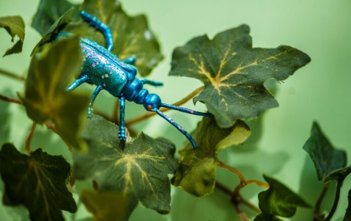 33897_0a6e5e8aed0f58a1ce017507823030d4_1300x820