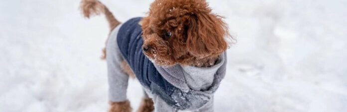 3bc69275a8382e92e0a2a821b45a7b75_6928b7ae185fc