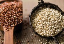 Гречка чи кіноа: що обрати для здорового раціону?