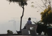 Влада Тегерану закрила освітні заклади та обмежила рух вантажівок через «тривожне» забруднення повітря