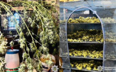 Зберігала вдома майже 2 кг коноплі: на Нікопольщині судитимуть 31-річну жінку