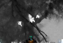 Намагалися втекти з країни: біля кордону зі Словаччиною затримали трьох жителів Дніпропетровщини