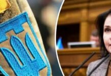 Немає критичного недобору: нардеп Фріз про те, чому ТЦК потрібно вивести з процесу мобілізації