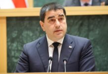 Влада Грузії планує заборонити громадянам голосувати за кордоном