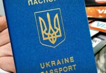 До кінця року кількість повісток зросте: нардеп Горбенко про доступ ТЦК до баз податкової