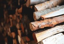 Дрова подорожчали на 20% перед зимою: скільки коштують та які є альтернативи