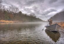 В Україні стартувала заборона на вилов риби: що дозволено та як уникнути штрафів