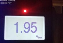 У Кривому Розі затримали чоловіка, який сів за кермо нетверезим