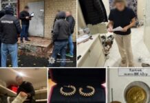 Незаконне збагачення та понад мільйон доларів готівкою вдома: в Дніпрі ДСР Нацполіції та ДБР затримали начальницю відділу екоінспекції