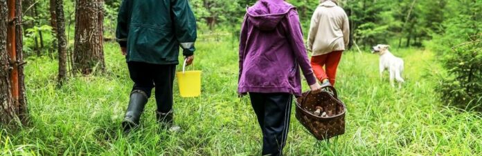 gettyimages2183890322284f8a376c9ee889c3421eec29c3cf171300x820_6914d2c7699d3