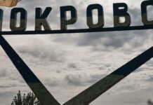 Сили оборони мають успіх: Зеленський про “необхідні результати” у районі Покровська