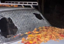 На Дніпропетровщині 39-річний чоловік під час сварки вистрелив знайомій у голову