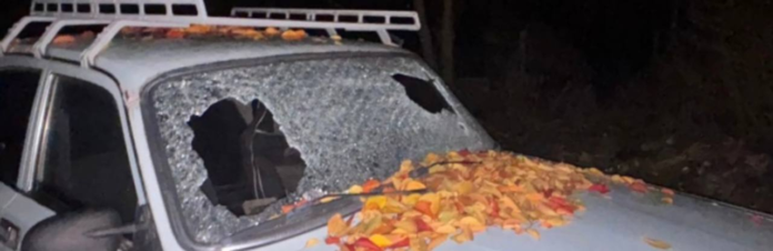 izobrazenie2025-11-03152919430_6908ae314efdb