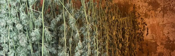 izobrazenie2025-11-05123929737_690b29650d49b