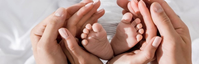 izobrazenie2025-11-05135315018_690b3aabedf62