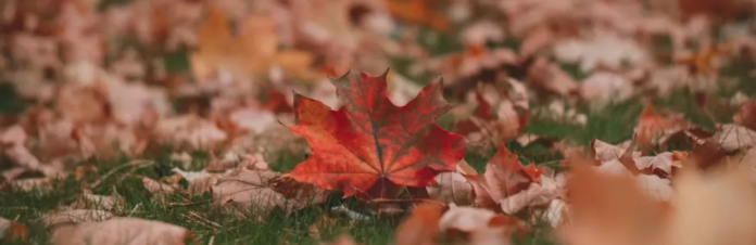 izobrazenie2025-11-10170632576_6911ff79aa83d