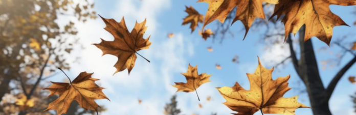 izobrazenie2025-11-19234707630_691e3ade38beb