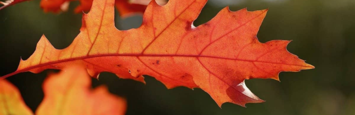 izobrazenie2025-11-26225507520_6927692cbc165