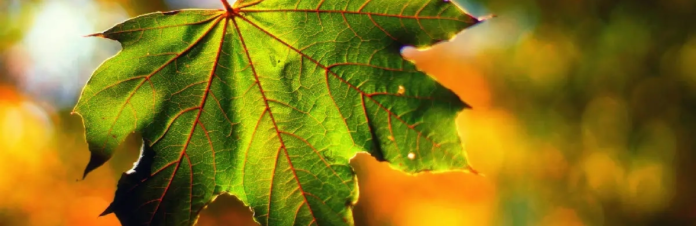 izobrazenie2025-11-27215443042_6928ac86847cc