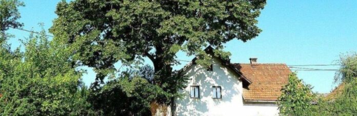 jvspjg5skvvq79m2e6s1n3qritwmbmm0arsdnrq9_69138aed92ca8