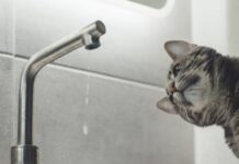 Де у Дніпрі на цьому тижні відключатимуть воду боржникам