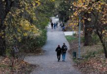 Початок зими буде теплим: яку погоду очікувати в Україні наступного тижня (карти)