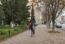 Теплий старт зими? Синоптики розповіли, яким може бути грудень в Україні