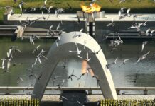 Дипломатичний скандал: Кремль безпідставно обмежив в’їзд 30 японцям