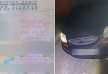 У Дніпрі патрульні під час комендантської години затримали водія з підробленими документами