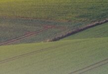 У Запоріжжі завдяки прокуратурі стягнуто майже 740 тис. грн до місцевого бюджету за безоплатне користування землею