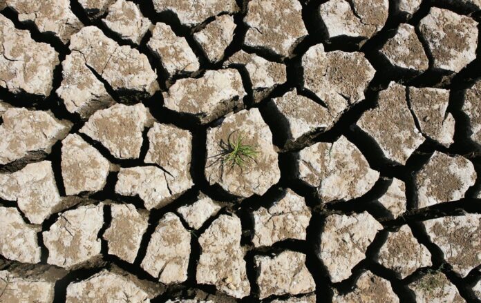 _posuha_gettyimages_73849195_744d4027b187edb067660e27b53fbe56_1300x820