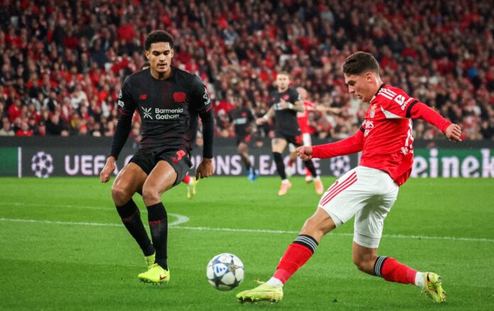 _proekt___2025_11_05t231049_236_75dc58ca3dc2fbf0e40008166cb04cca_1300x820