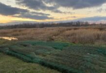 На Дніпропетровщині браконьєрів із раколовками упіймали на гарячому