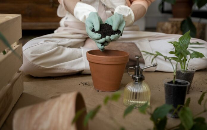 __roslini_peresadka_roslin__3294fa9c20cf525eb9e0dec9e91e6579_1300x820