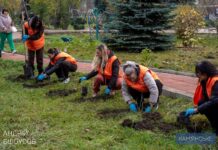 У Камʼянському проводяться заходи з благоустрою та озеленення