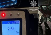 Нетверезий водій у Дніпрі скоїв ДТП: патрульні притягнули його до відповідальності