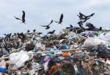 Reuters повідомив про жалюгідну ситуацію в секторі Гази: антисанітарія, сміття і стічні води