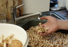 Опеньки без піску та листя: простий спосіб очищення, який працює завжди