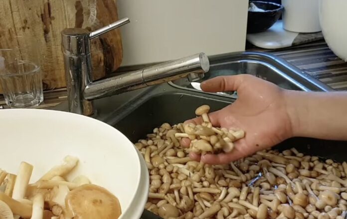 _video_234452_974bbc458efbb8820ecc13eb0af6191a_1300x820