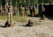 «Кожна бригада щомісяця отримуватиме стабільну кількість мобілізованих»: Паліса про новий підхід