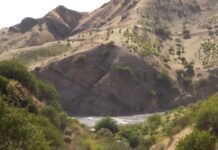 Двоє прикордонників Таджикистану загинули внаслідок сутички на кордоні з Афганістаном